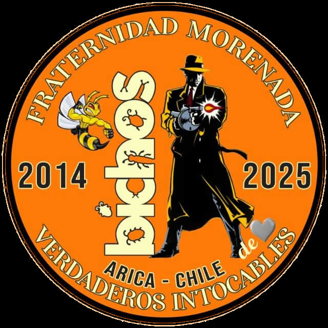 Bloque Dick Tracy - Verdaderos Intocables
